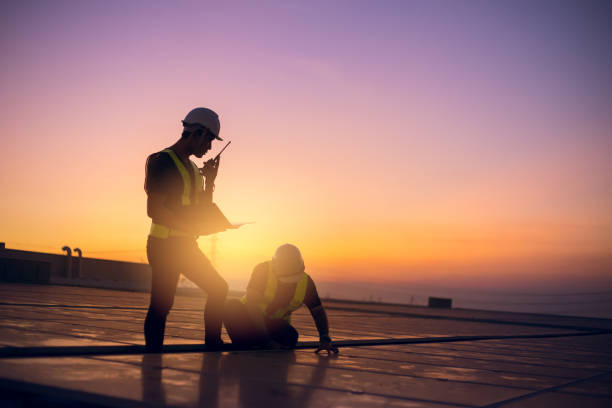 Best Flat Roof Repair Services  in Round Lake Heights, IL