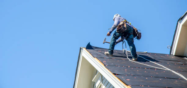 Best Roof Waterproofing Services  in Round Lake Heights, IL